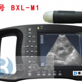 母猪专用B超仪