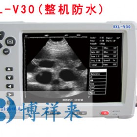 背膘仪猪用B超机V30