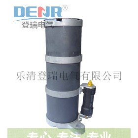 热销产品RXQ-20D一次消谐器,RXQ-35D消谐器作用