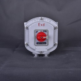 BZD51 防爆断路器定制化工防腐断路器