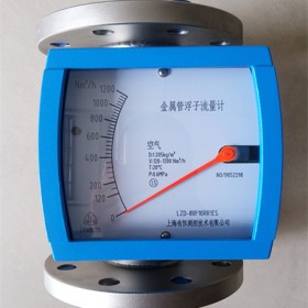 上海金属管浮子流量计厂家