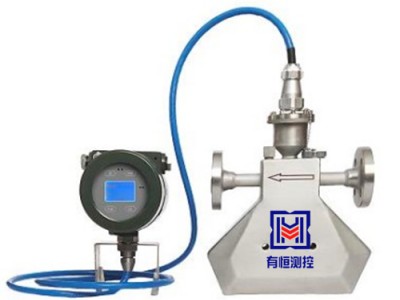 高压气体科氏力质量流量计 高精度质量流量计