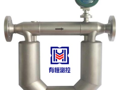 液化气质量流量计 气体科里奥利质量流量计