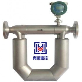 液化气质量流量计 气体科里奥利质量流量计